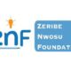 Zeribe Nwosu Foundation (ZNF)