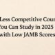 29 Less Competitive Courses You Can Study in 2025 with Low JAMB Scores