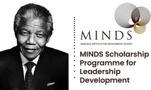 MINDS Scholarship Programme 2026